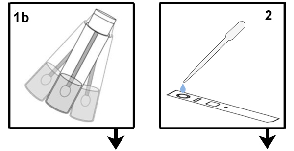 RapidTestEasyMethodPt2