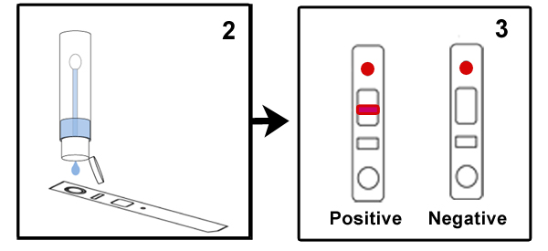 RapidTestEasyMethodPt23